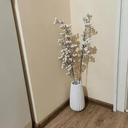 Bella Apartament